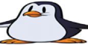 Google’s Penguin Update : The new Webspam Algorithm have its Official label Google’s Penguin Update : The new Webspam Algorithm have its Official label